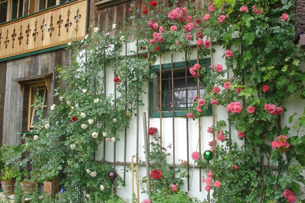 Waldpension Goschlseben Grünau im Almtal Exterior foto